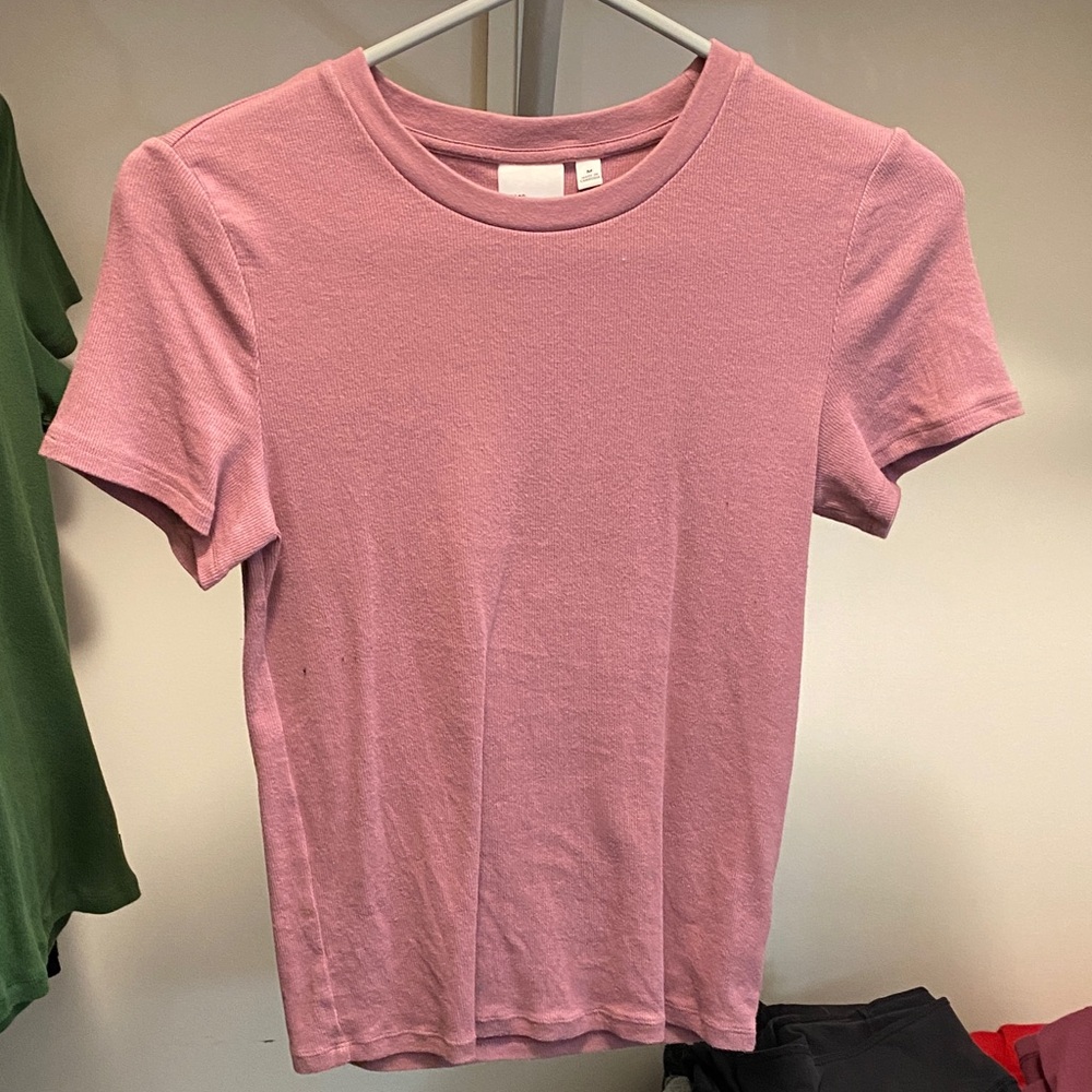 Aritzia Homestretch Crew T shirt